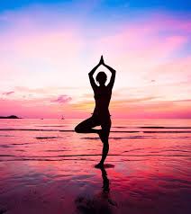 Yoga With Vikram 