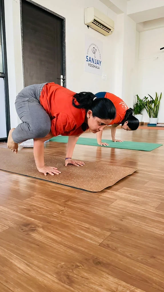 Yoga Classes In Vadodara
