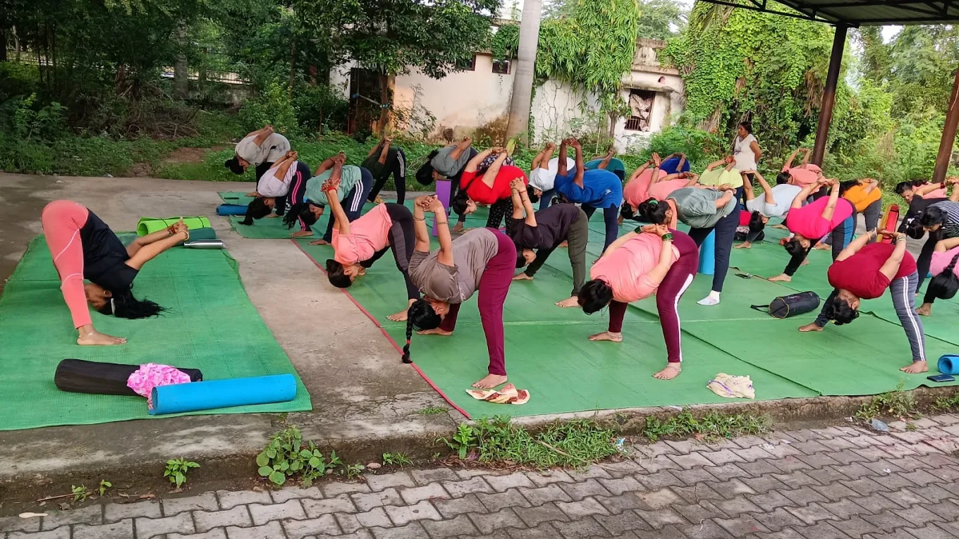 Beginner Yoga Class