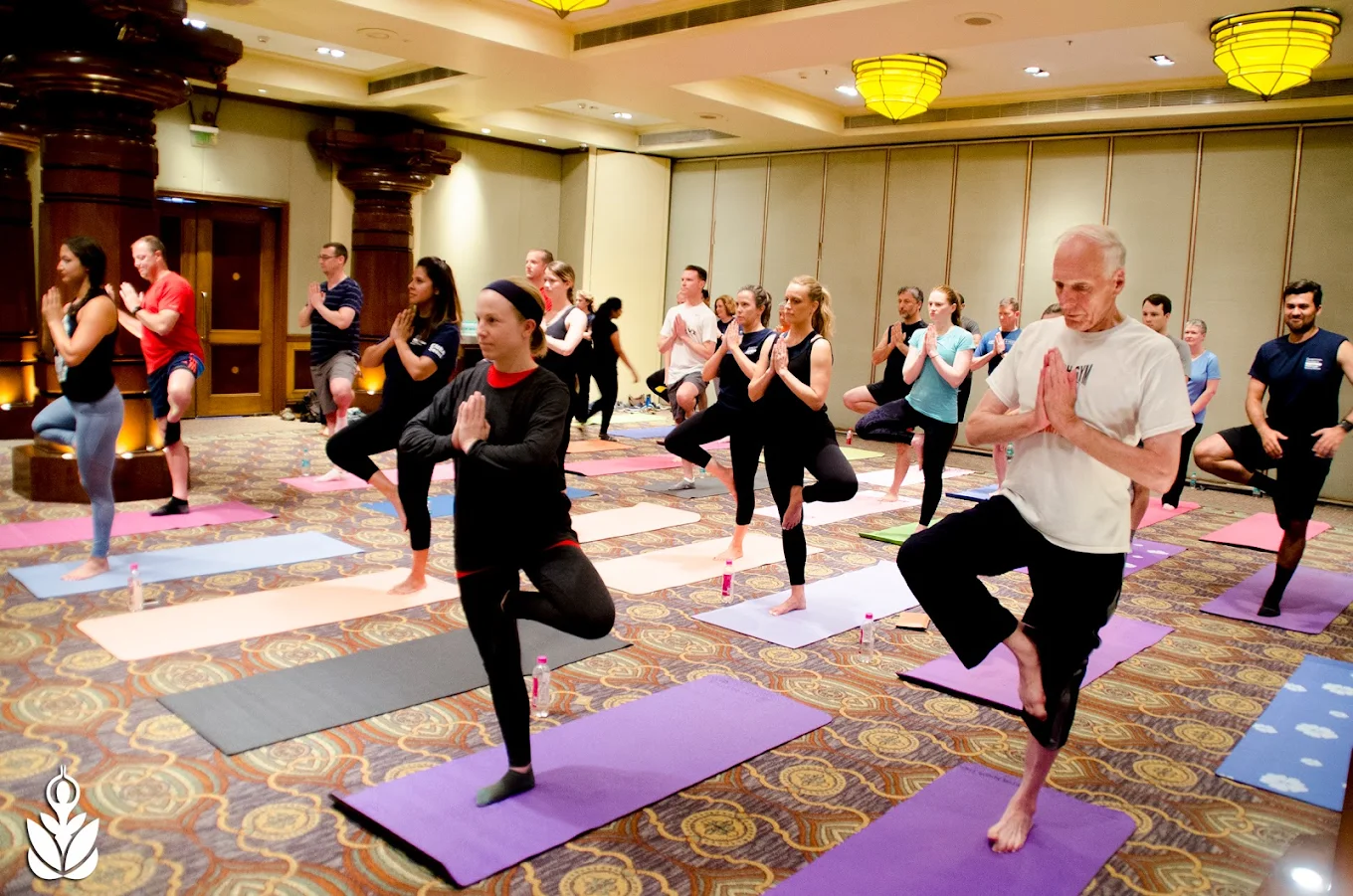 Yoga &Meditation