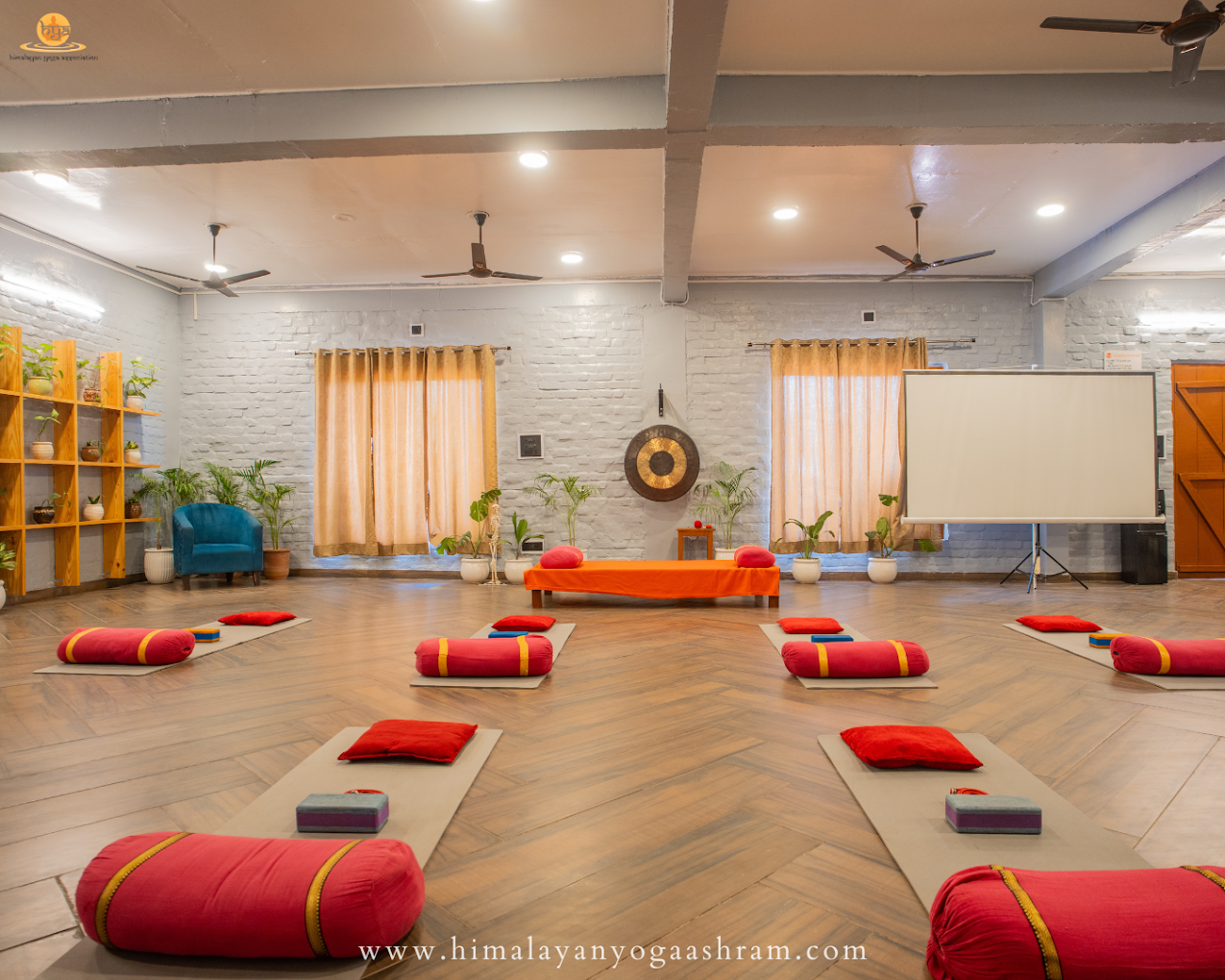 Ashtanga Yoga / Hatha Yoga & Vinyasa Flow (Multi-style) yoga teachings