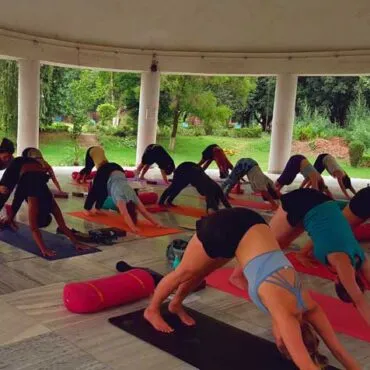 Yoga, meditation, and five elements detox