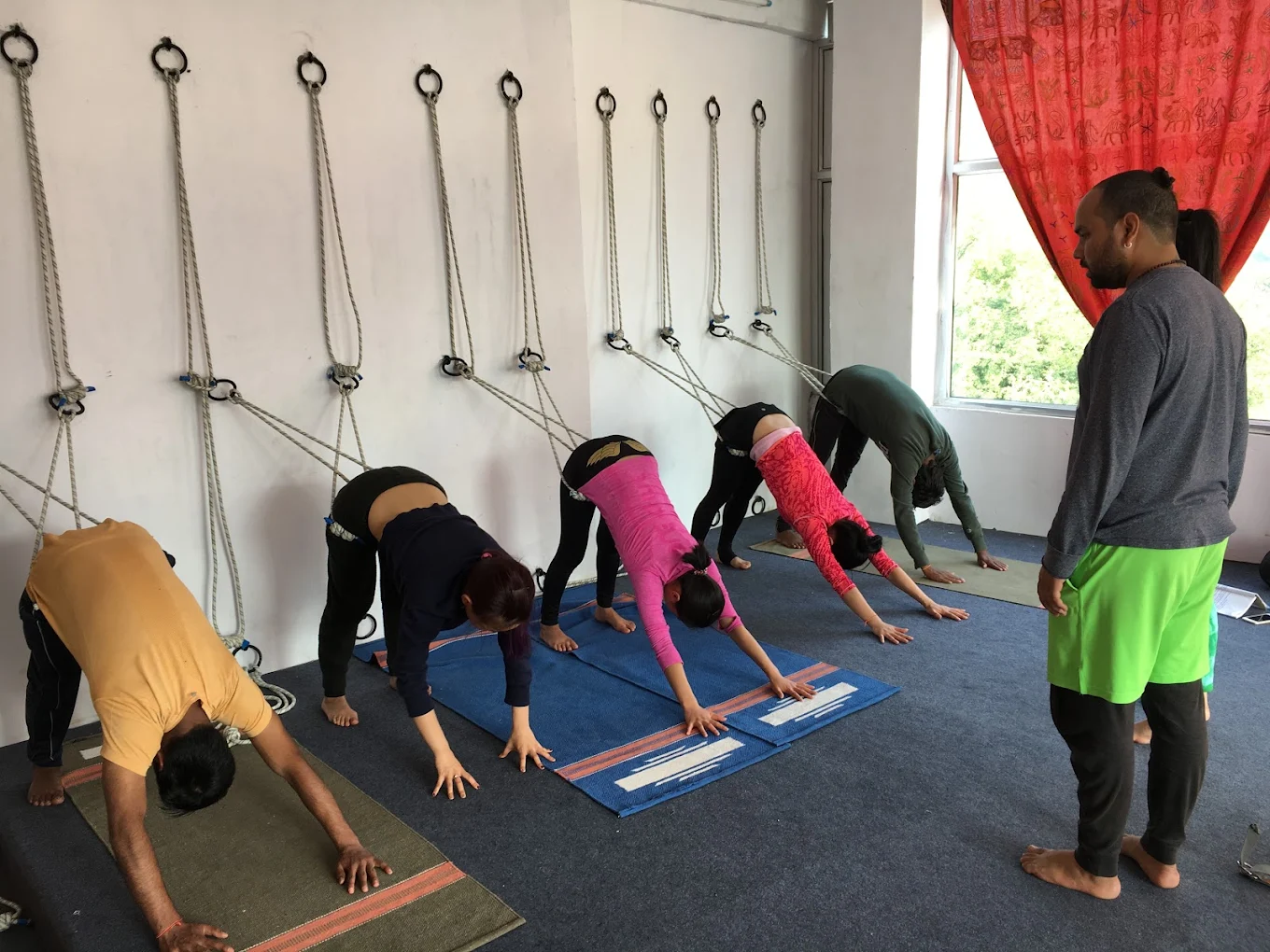 Hatha Yoga - Ashtanga Yoga - Iyengar Yoga TTC
