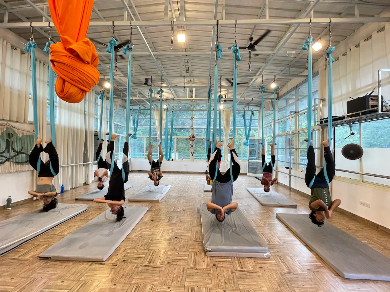  Aerial Yoga & Art School 