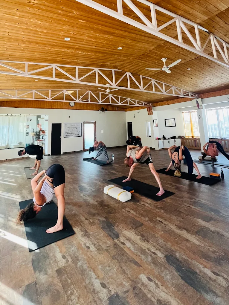 Yoga Teacher Training and Meditation Program in Rishikesh