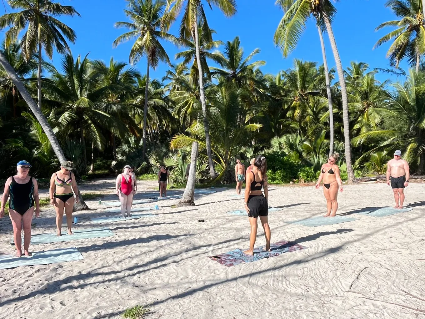 Yoga and Meditation Wellness Program in Rishikesh