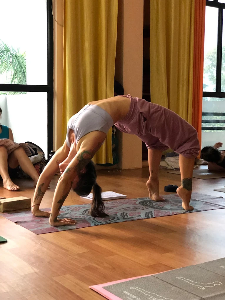 Yoga and Meditation Wellness Program