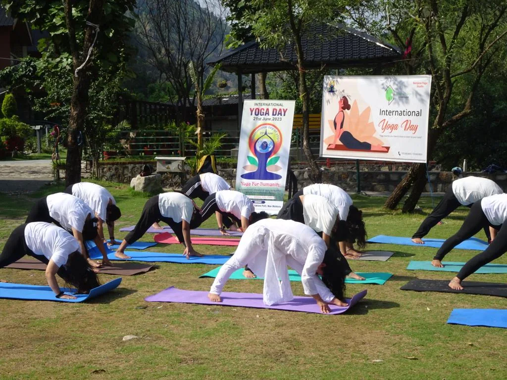 Personalized Yoga and Wellness Training Program