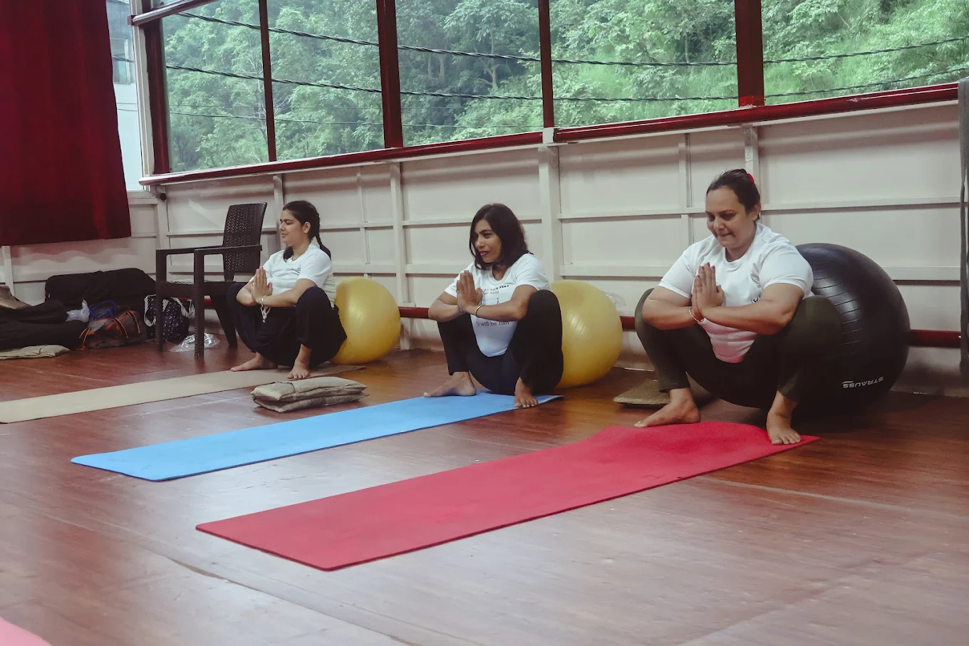 Traditional Yoga Practice and Wellness Program