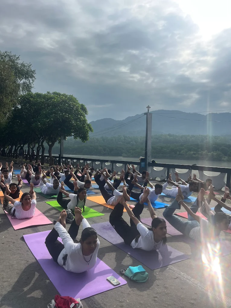 Gentle Yoga and Wellness Training Program