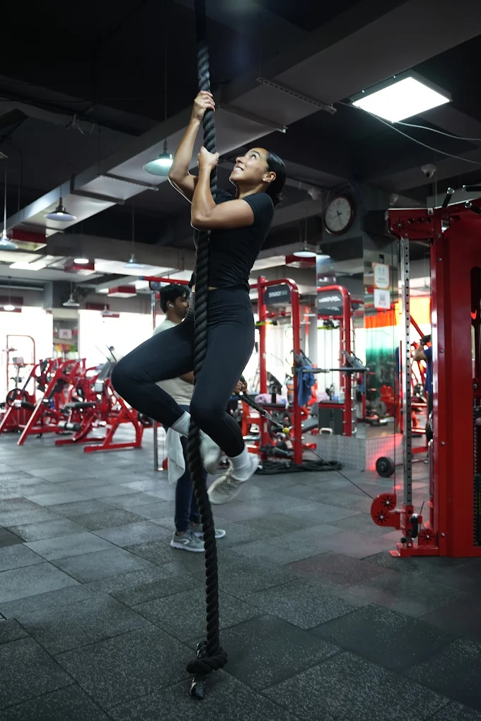 Equinox Workout Zone – Strength and Endurance Training Program