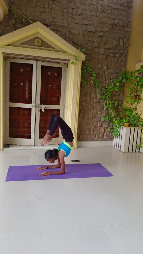 Om Divine Yog & Fitness Centre – Yoga and Wellness Program