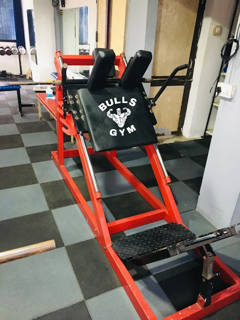 Bulls Gym – Muscle Gain and Fitness Program