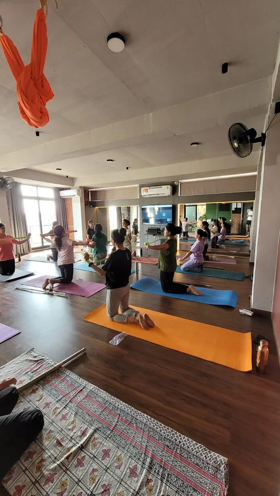 Flex Studio – Flexibility and Functional Fitness Program