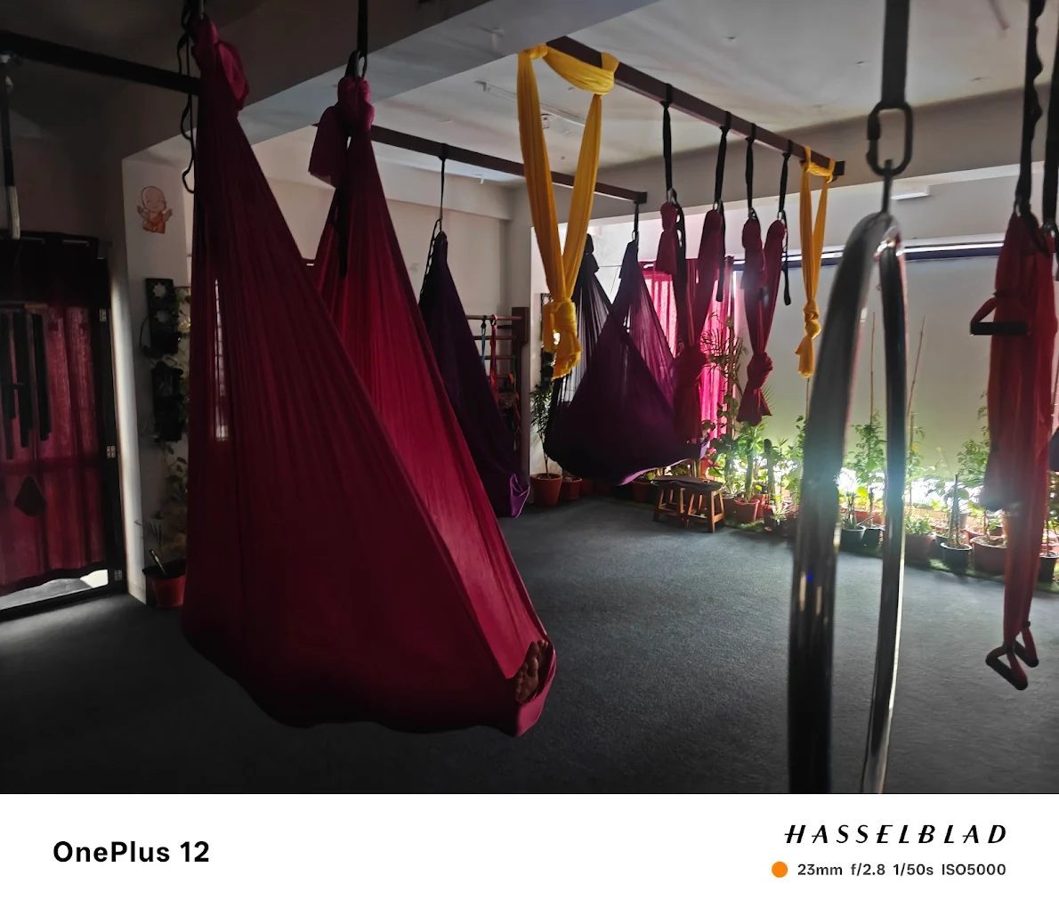 YOG with Os – Functional & Aerial Yoga Course