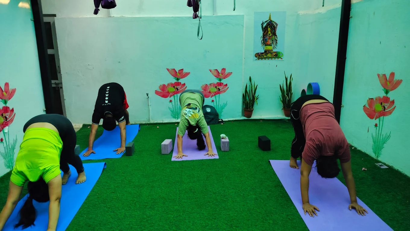 Yoga Fusion | Yoga Classes – Modern Fusion Yoga Course
