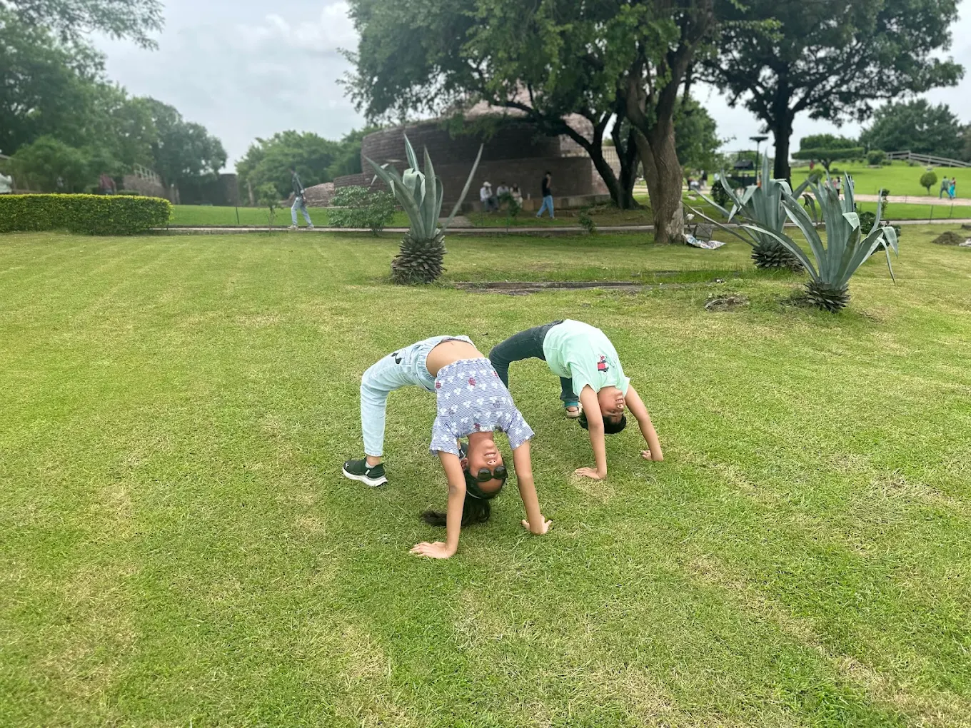 SAHASTRAKSH YOGA CENTER – Energy Activation Yoga Course