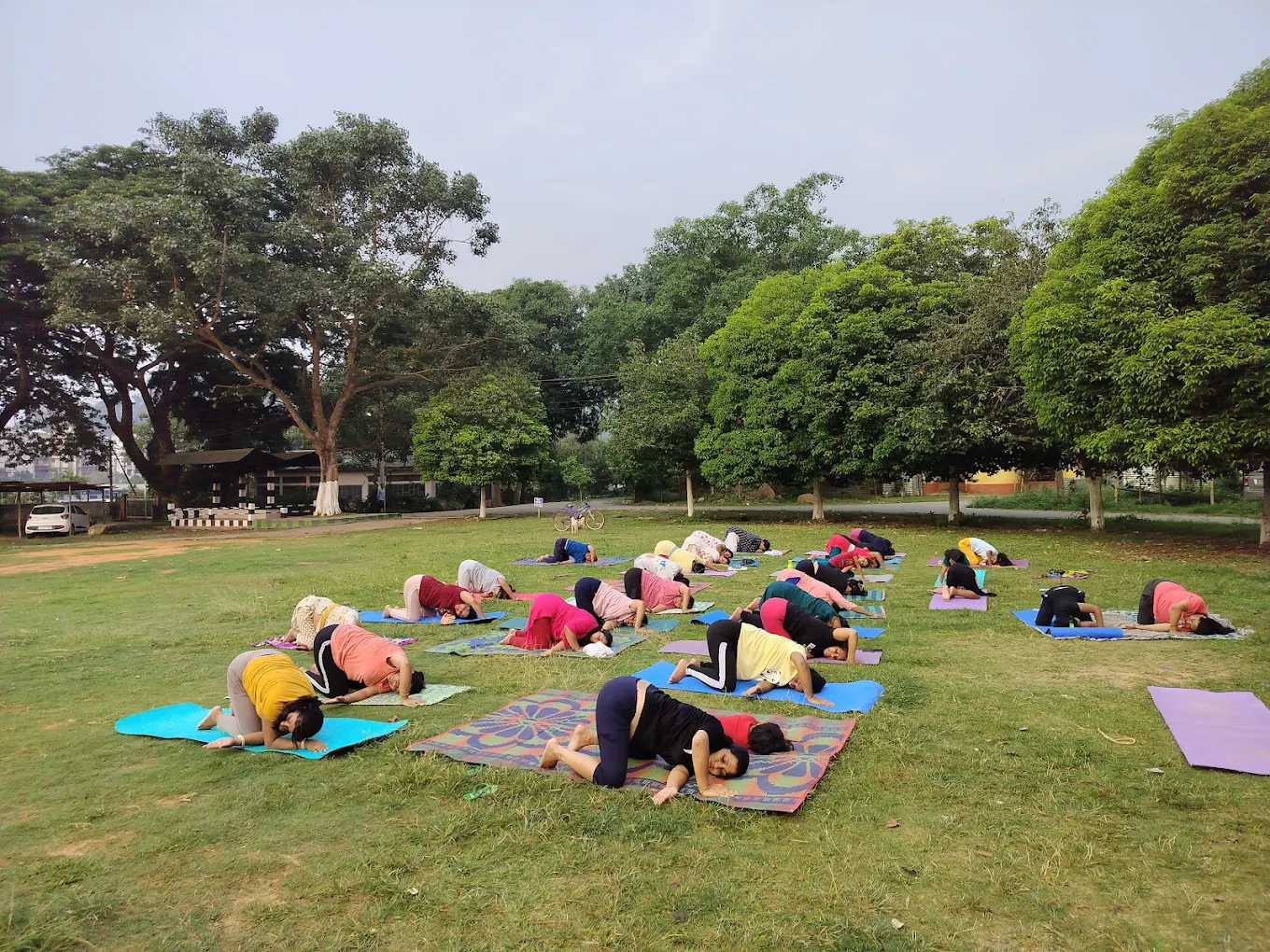 Aru Yoga Centre – Daily Practice Yoga Program
