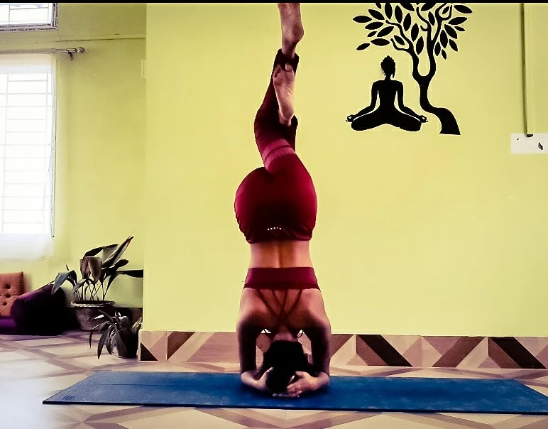 Namaste Yog Shala – Holistic Yoga & Wellness Course