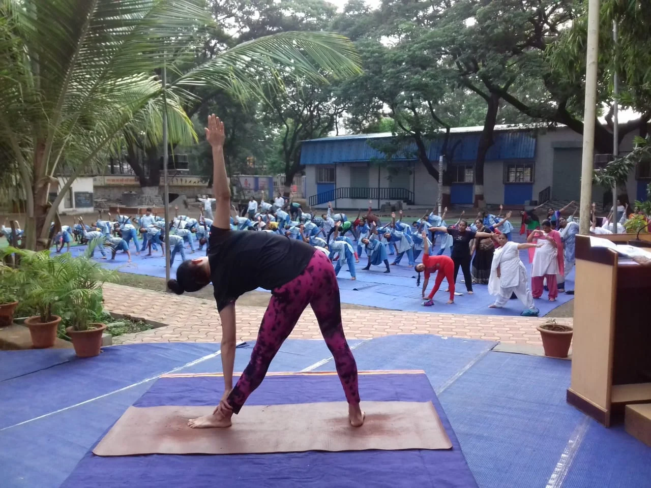 The Yoga Light Studios – Yoga Course