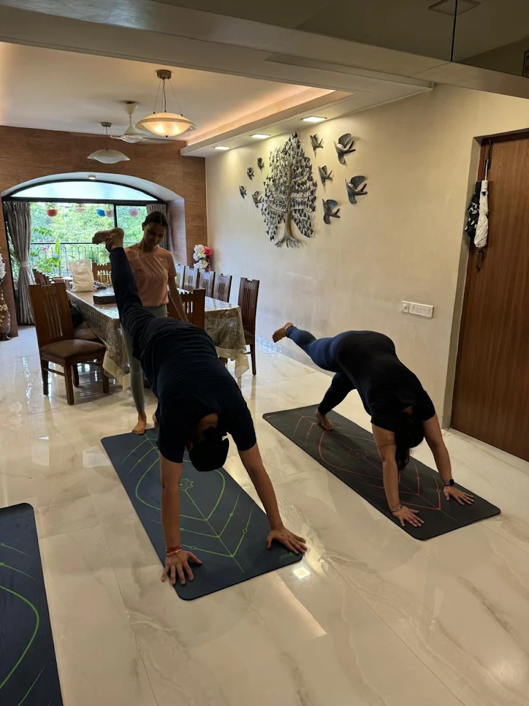 Adi Yoga - Yoga classes – Yoga Course