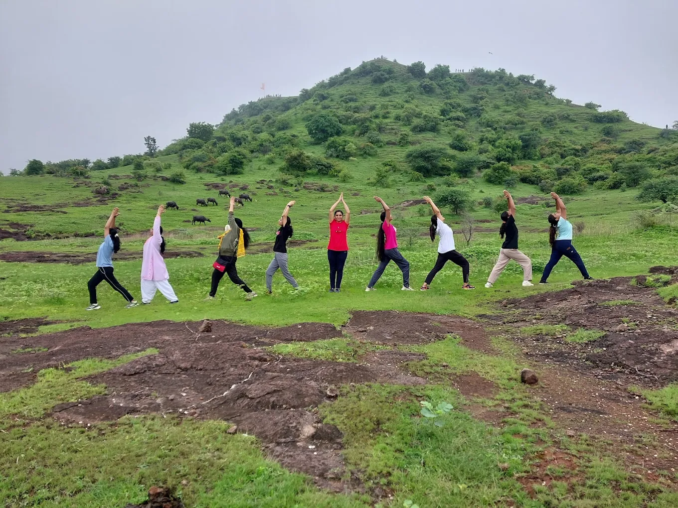 Dr. Harshada's Yoga Center – Yoga Course
