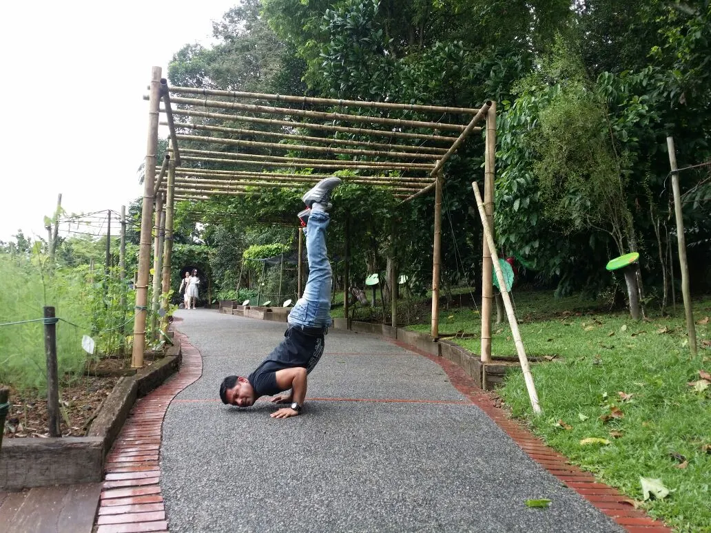 Yogarogyam International Yoga Centre – Yoga Course