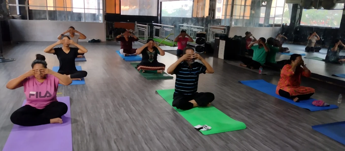 Beginner Friendly Yoga and Wellness Sessions