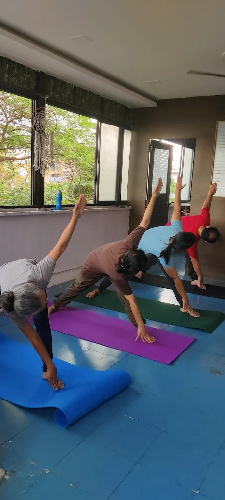 Personalized Yoga and Wellness Coaching Program