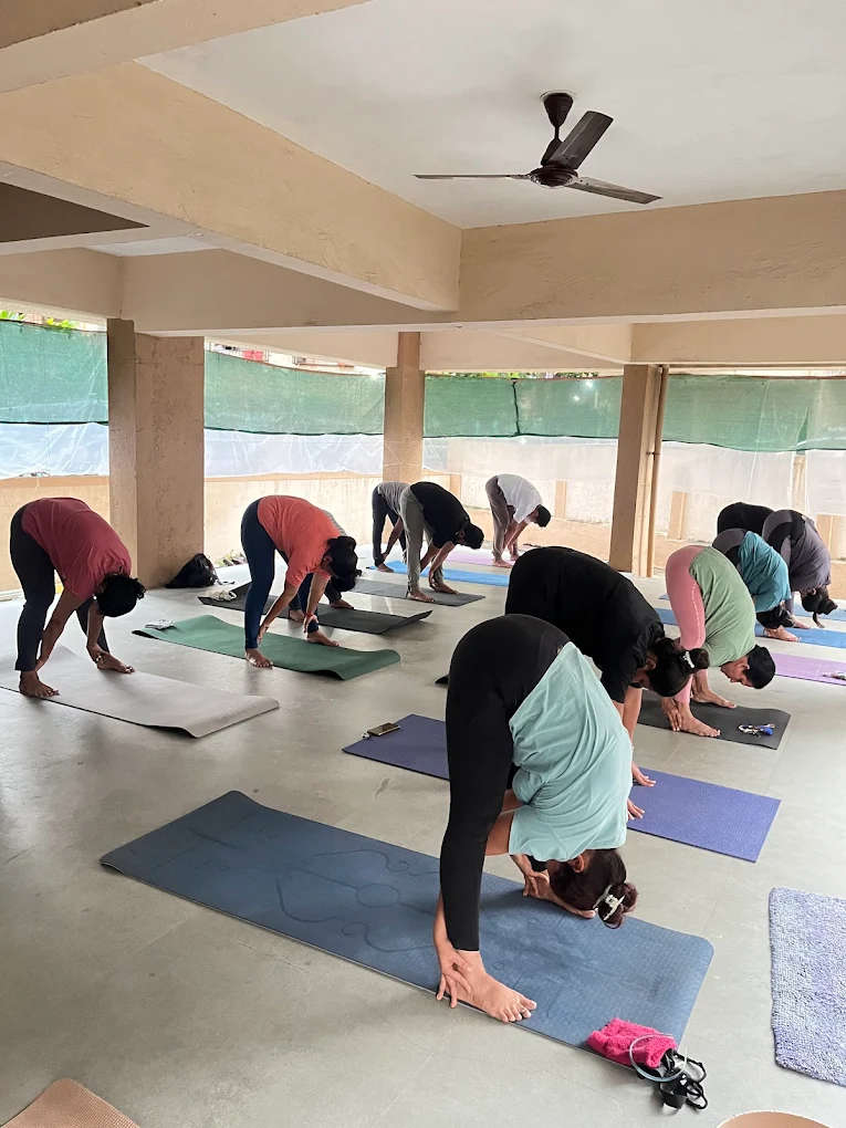 Meditation and Yoga for Mental Clarity
