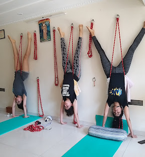 Flexibility and Wellness Yoga Training Course