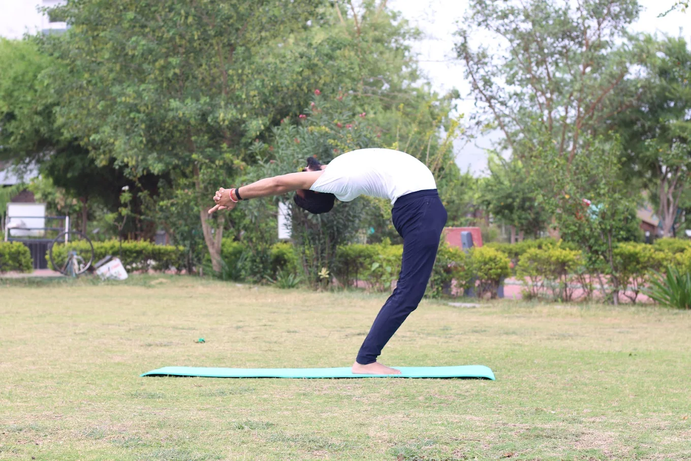 Wellness Yoga and Flexibility Training Course