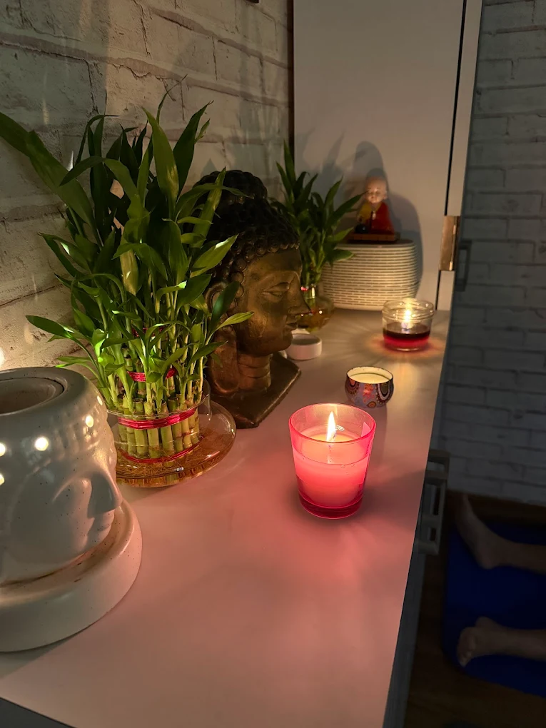 Yoga and Meditation Training for Healthy Living