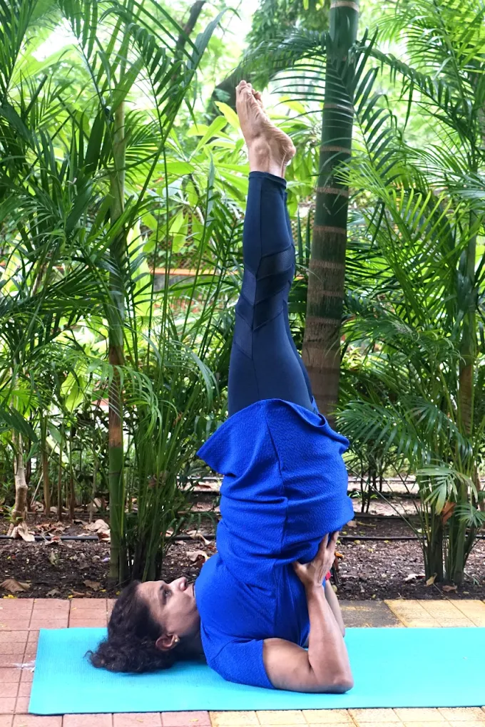 Modern Yoga and Fitness Classes for Wellness