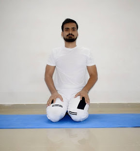 Traditional Yoga Learning for Balance and Inner Wellness