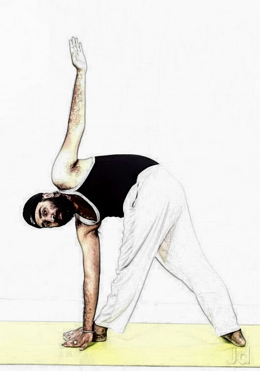 Yoga and Dance Fusion Sessions for Active Wellness