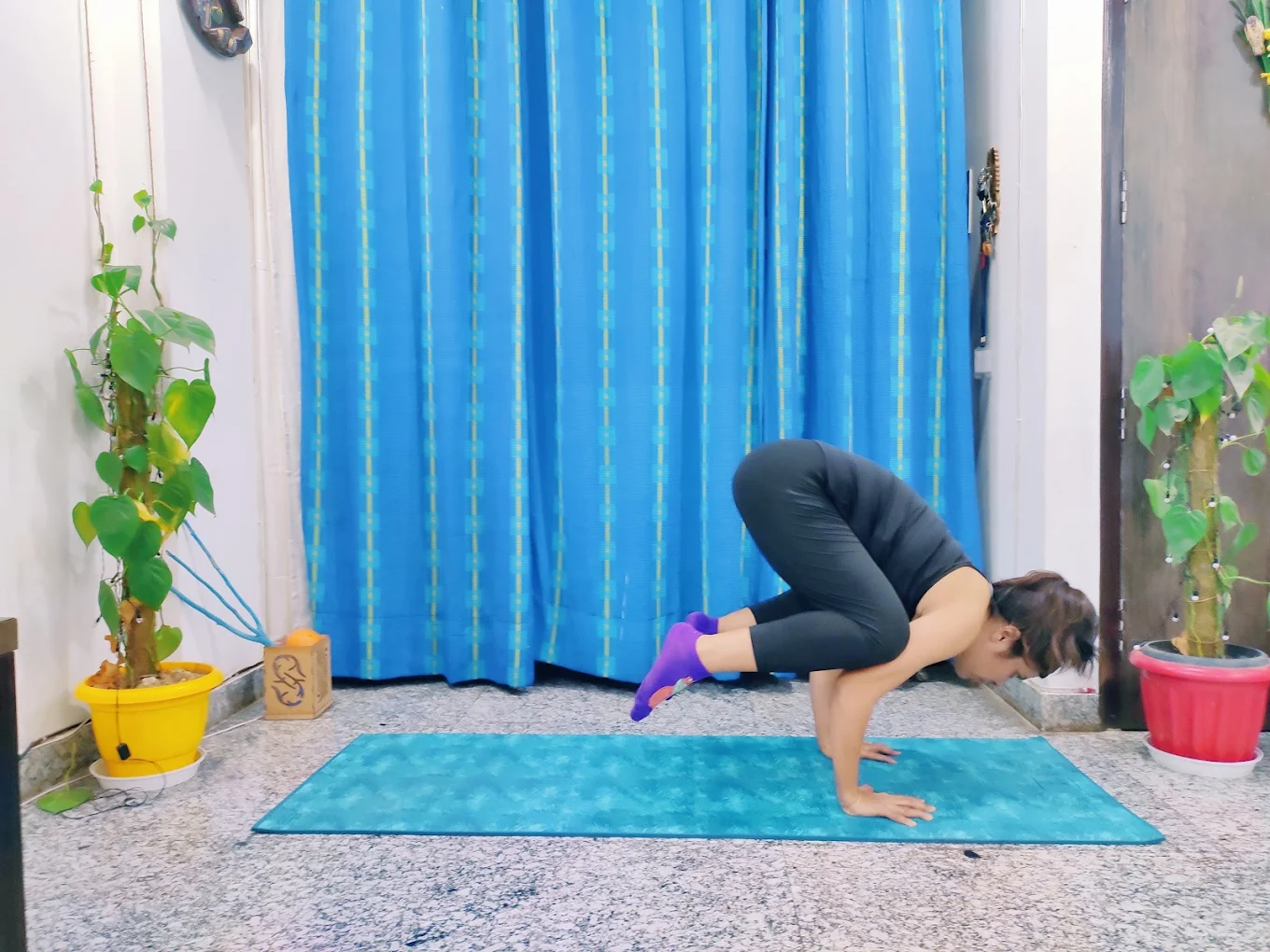 Women's Fitness and Wellness Training Program