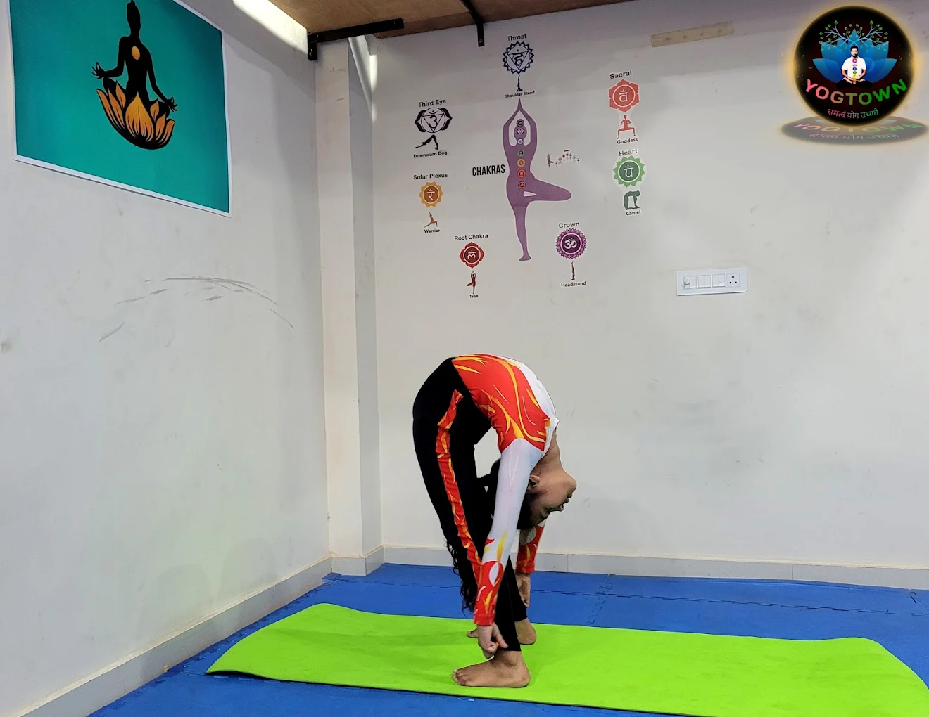 Yoga Practice for Flexibility and Mindful Wellness