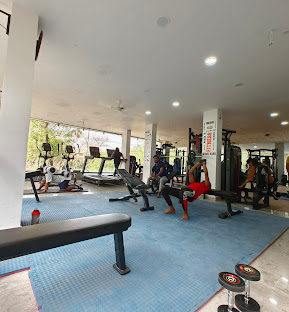 Strength Training Programs for Fitness and Performance