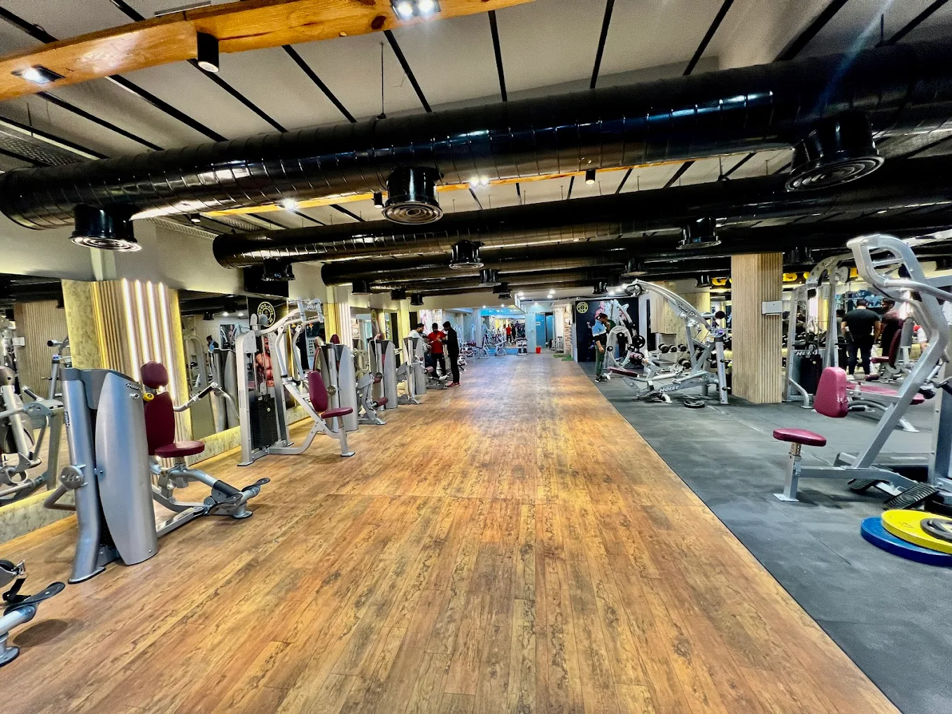 Professional Gym Training for Strength and Endurance