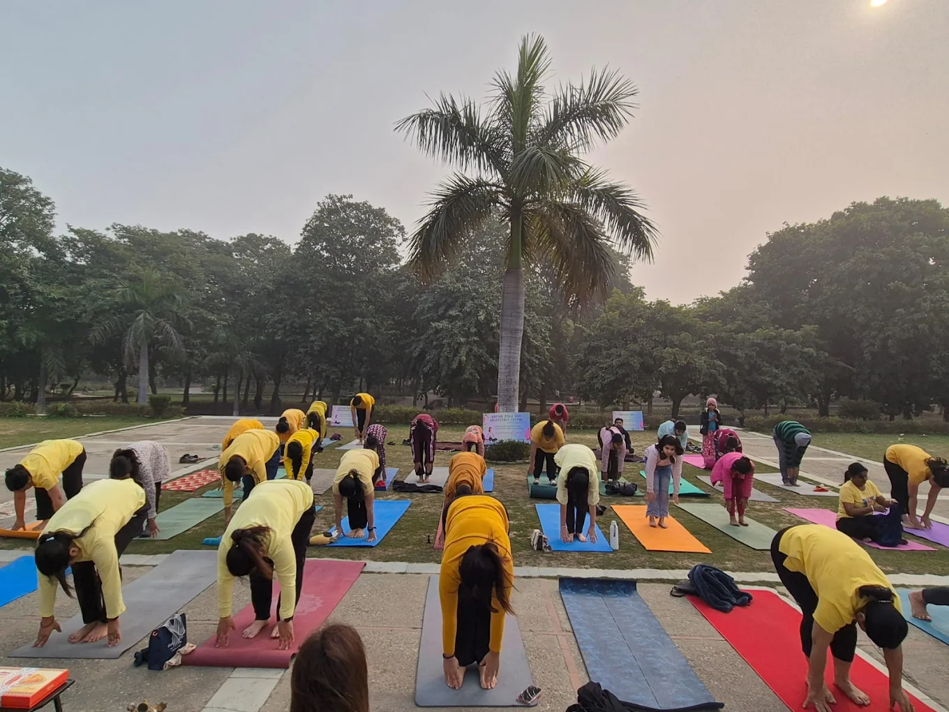 Yoga and Meditation Sessions for Relaxation and Wellness