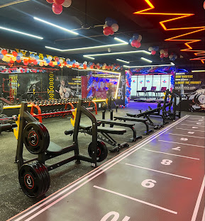 Muscle Building and Strength Training Programs