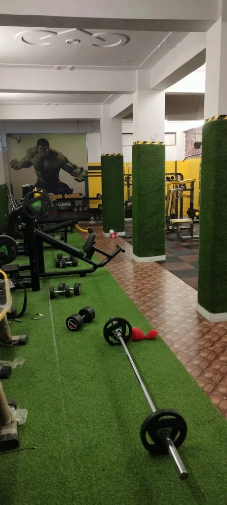 Health and Fitness Programs for Balanced Living