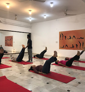 Traditional Yoga Education for Holistic Development
