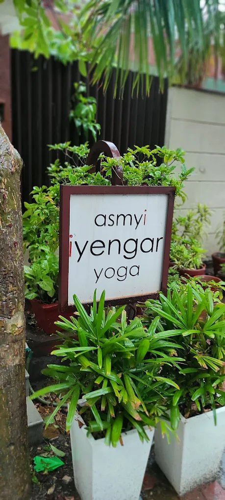 Iyengar Yoga Training for Alignment and Flexibility