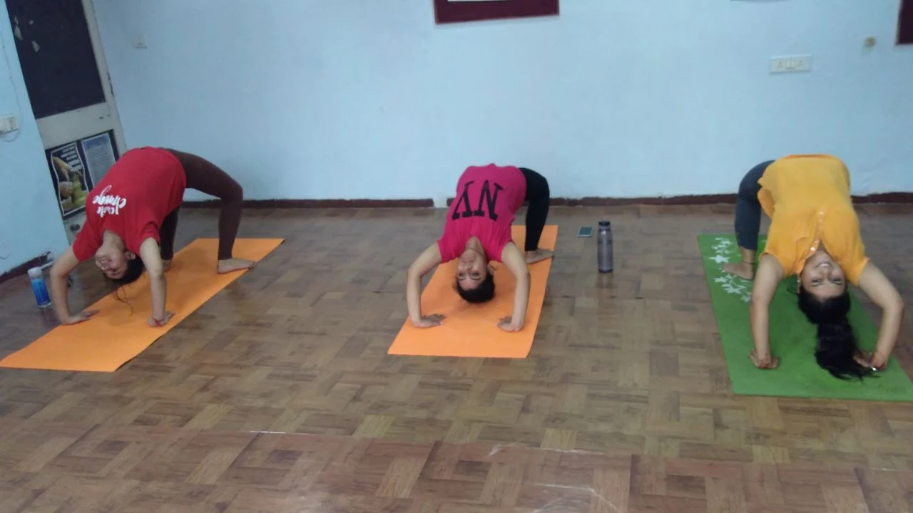 Therapeutic Yoga Sessions for Recovery and Wellness