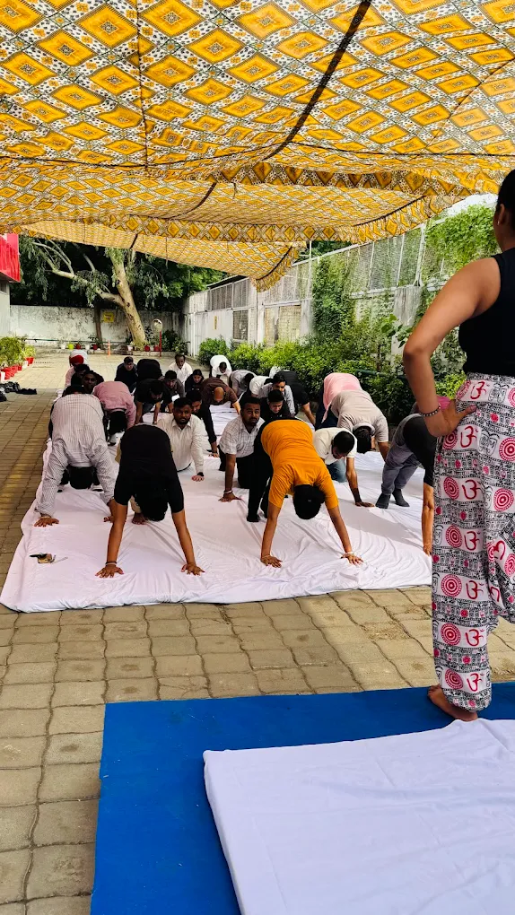 Yoga and Wellness Programs for Mind Body Harmony