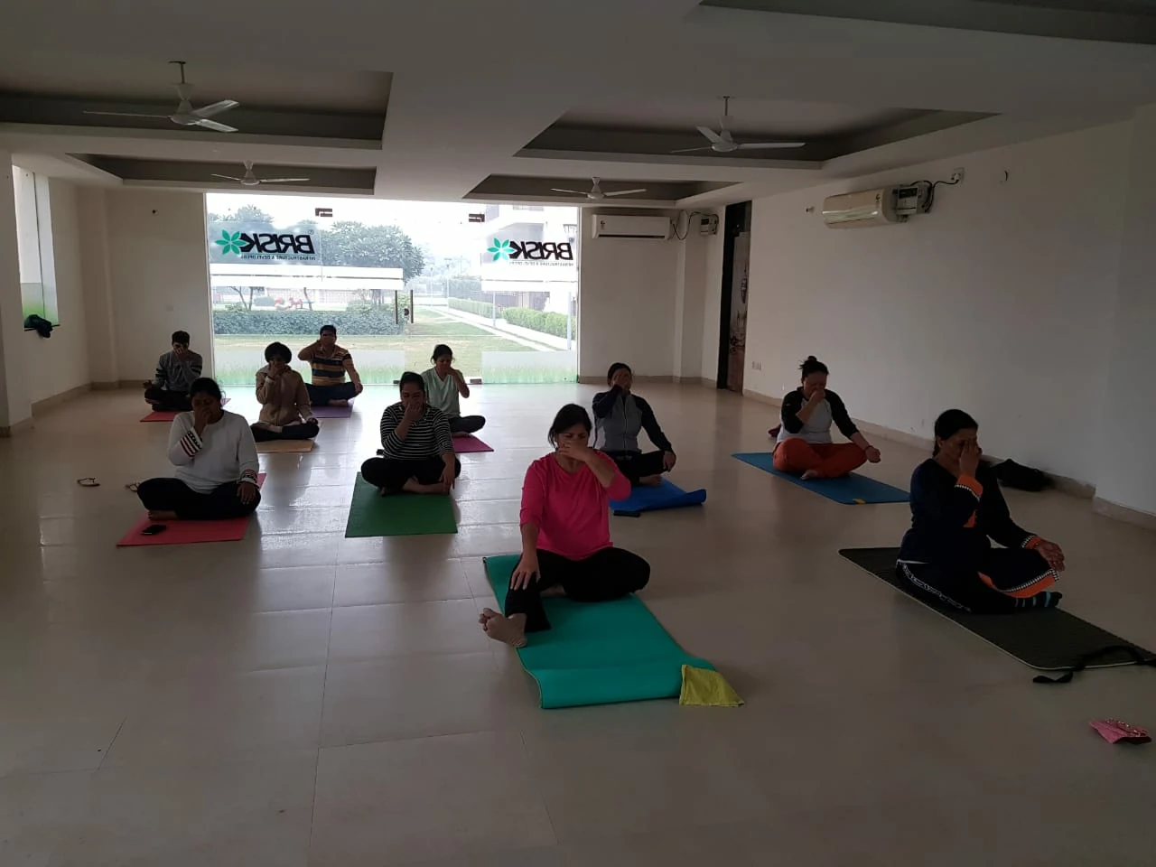 Holistic Yoga Training for Strength and Mindfulness