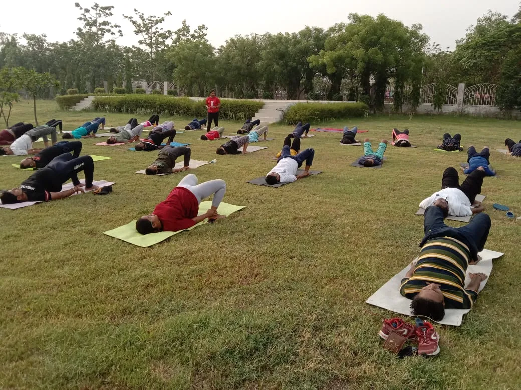 Mindful Yoga Sessions for Balance and Inner Awareness