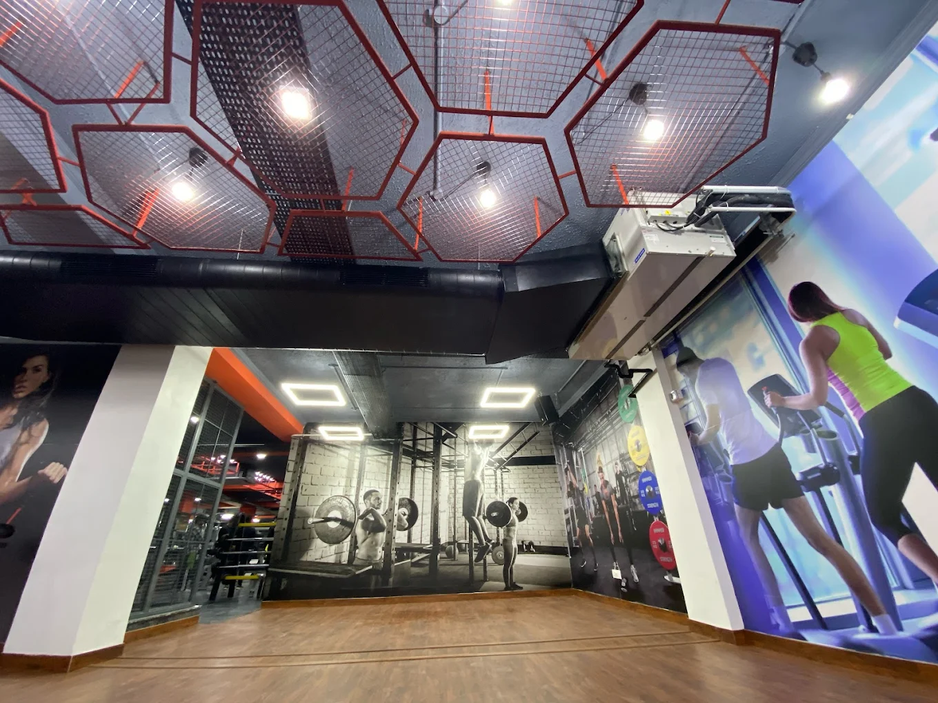 Professional Fitness Training for Strength and Endurance